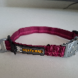 Obojek pro psa Ruffwear - 4