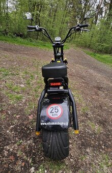 Elektrokoloběžka Nitro Scooter Futura Classic 1000W ECO - 4