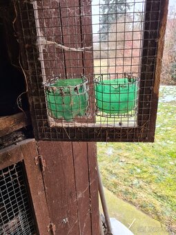 Králíkárna 9 kotců - 4