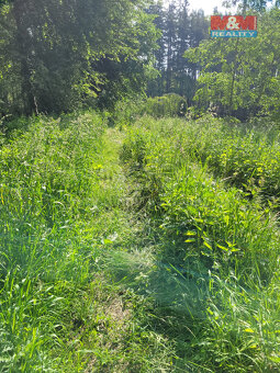 Prodej vodní plochy- rybnik, 13432 m², Luhov u Toužim - 4