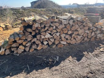 Palivo pro rok:2025 -2026 - 4