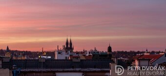 Prodej bytu 1+kk, Opletalova, Praha 1 - Nové Město - 4