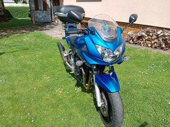 Suzuki gsf650s - 4