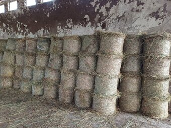 Seno, letošní, malé kulaté balíky, v síti - 4