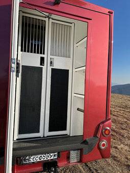 RENAULT MASTER 2,3 l prepravnik na kone - 4