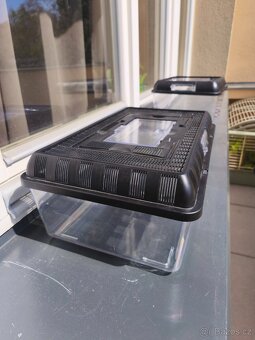 Repti planet chovný box 42cm - 4