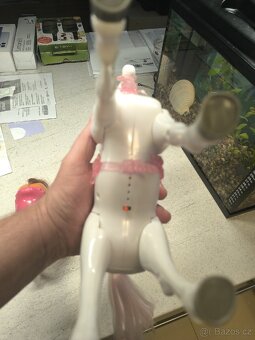 Chodící bílý kůň - 4