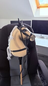 Hobby Horse - 4
