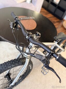 Early Rider Seeker 20” - 4