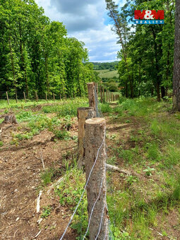 Prodej lesa, 9634 m², Hrazany - 4