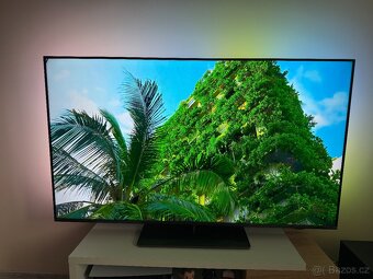 TV, Televize Philips the One 65 - 4