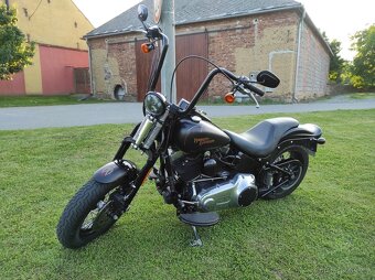 HARLEY DAVIDSON FLSTSB cross bones springer - 4