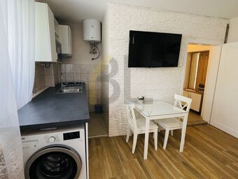 Pronájem bytu 1+kk, 20m2, Velké Bílovice - 4