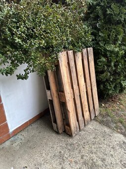 dřevěné palety 5 ks cena za ks - 4