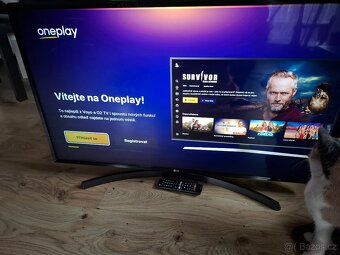 Lg 4K Smart 109cm DVB-T2 WiFi YouTube Netflix oneplay Disney - 4