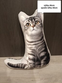 Britská kočka polštářky - 4