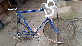 Giant Peleton Lite rv kolem 79 - 4