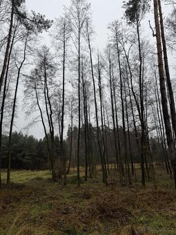 Prodám pozemky v k.ú. Veliny - 4