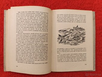 V ŘÍŠI KROKODILŮ A VOLAVEK - Georg Strack - 4