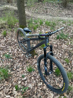 custom CTM dirtking - 4