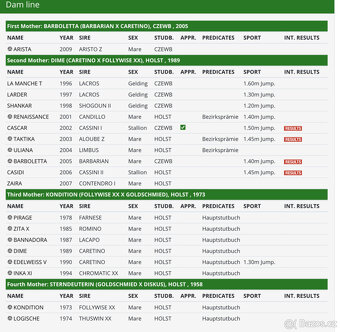 Letošní princezna po Kannthago DK - 4