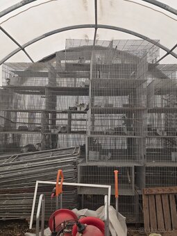 Kotce pro kraliky - 4