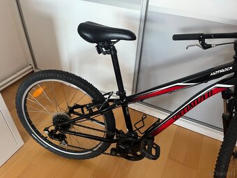 Kolo Specialized 24” - 4