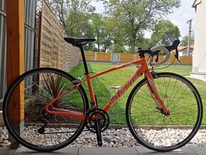 Prodám Specialized dolce 48 - 4