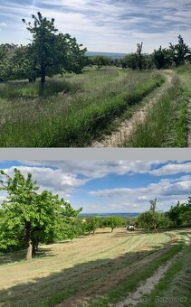 Mulčování - sečení - 4