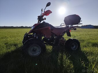 ATV Shineray 250 STXE, SPZ STK - 4