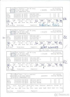 Kamerunský plemenný beran s POP - 4