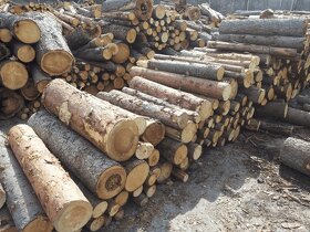 Topení levně suché dřevo - 4