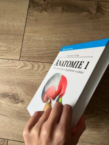 Anatomie 1. díl - 4