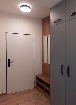 Pronájem bytu 1+kk UHERSKÝ BROD - Těšov - 4