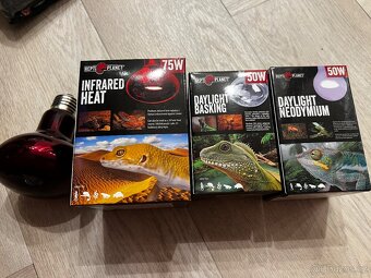 REPTI PLANET výhřevné a denní žárovky + dome lampa (set) - 4