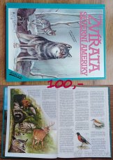 Knihy pro děti, dětský atlas - 4