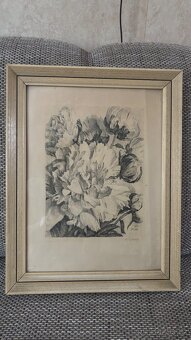 Obraz Max Švabinský Pivoňky - 4