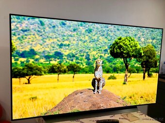 LG OLED 55 BX - 4