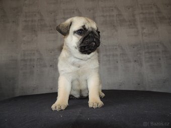 MOPS s PP. - 4