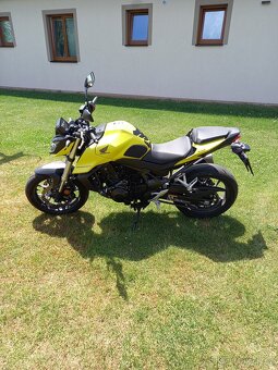 Honda hornet - 4