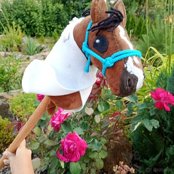 Hobby horse - 4