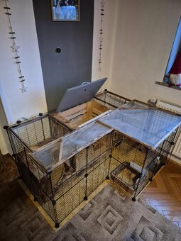 Ohrádka králíka - 4