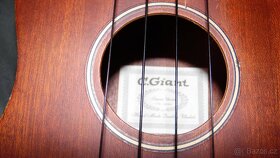 ukulele C.GIANT - 4