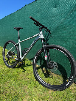 Horské kolo SILVERBACK Stride SX Grey/Black - 20"/XL - 4