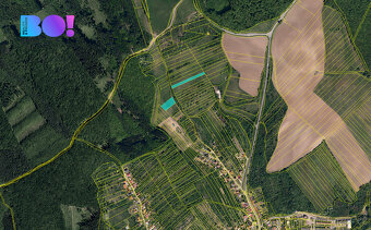 Prodej pole, 9711 m², Pašovice na Moravě - 4
