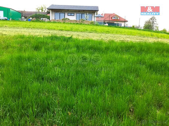 Pronájem louky, 4032 m², Opatovice I - 4