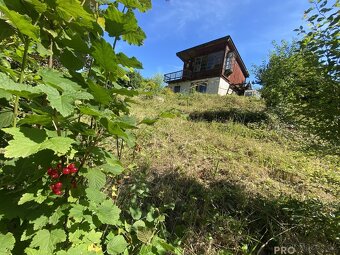 Prodej rekreační chaty s pěkným pozemkem, Olomouc, Droždín. - 4