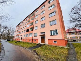 Nabízím pronájem bytu 2+1 Cheb - 4