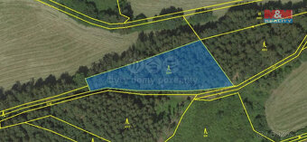 Prodej lesa, 38344 m², Borovnice - 4