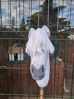 Hobby Horse - 4